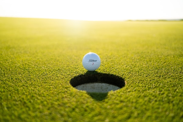 Leather Golf Ball Bag